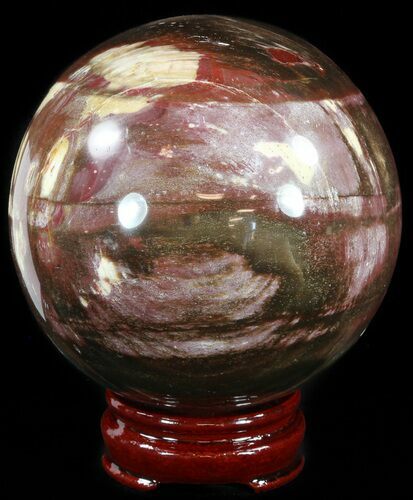 Colorful Petrified Wood Sphere #49752
